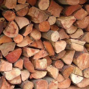 Black Wattle – The Budget Burner