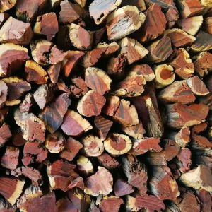 Kameldoring (Camel Thorn) – The Long Burn Legend